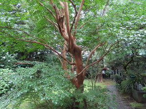 IMG_9371.jpg