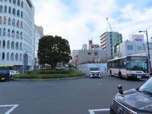 IMG_9403.jpg