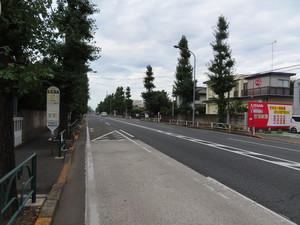 IMG_9415.jpg