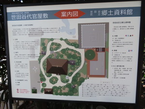 IMG_9508.jpg