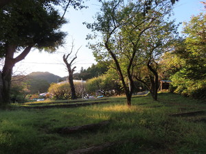 IMG_9580.jpg