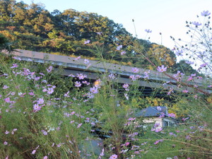 IMG_9588.jpg
