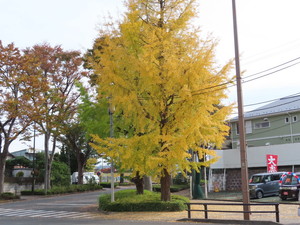 IMG_9670.jpg