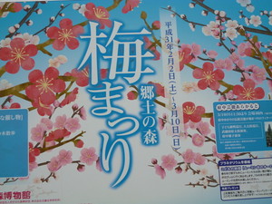 P1050539.jpg