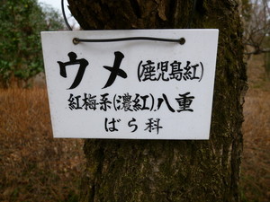 P1050601.jpg