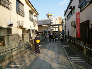 P1050831.jpg