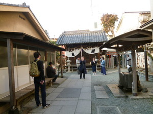 P1050867.jpg