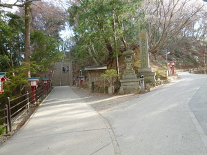 P1060332.jpg