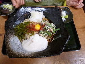 P1060406.jpg