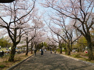 P1060421.jpg