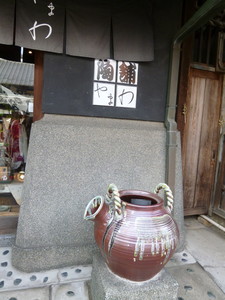 P1060524.jpg