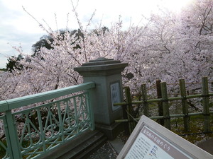 P1060693.jpg