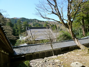 P1060785.jpg