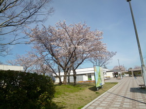 P1060893.jpg