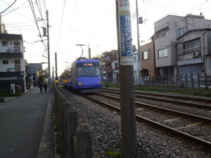 P1110679.jpg