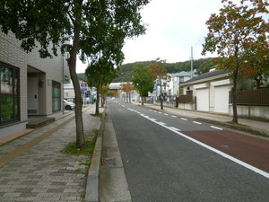 P1120006.jpg