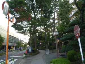 P1170352.jpg