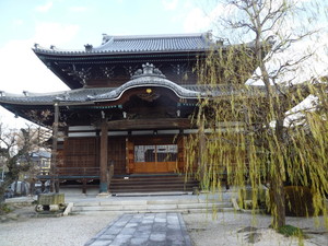 P1170852.jpg