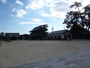 P1170933.jpg