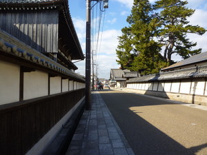 P1170945.jpg