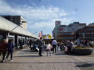 P1200166.jpg