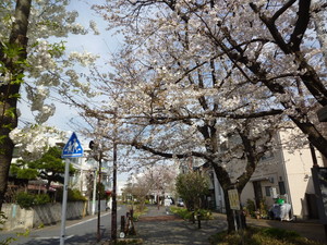 P1200278.jpg