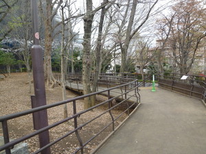 P1200316.jpg