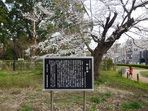 P1200320.jpg