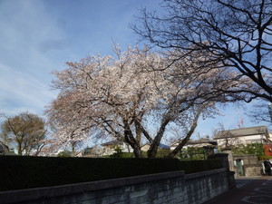 P1200420.jpg