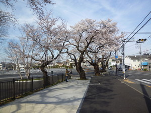P1200423.jpg