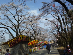P1200426.jpg