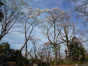 P1200437.jpg