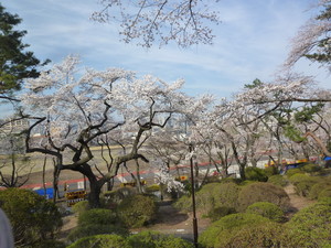 P1200439.jpg