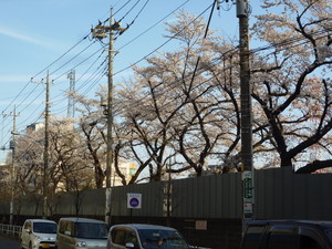 P1200459.jpg