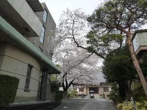 P1200470.jpg
