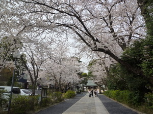P1200476.jpg