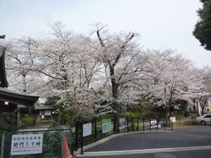 P1200480.jpg
