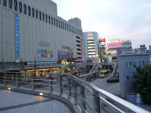 P1220428.jpg