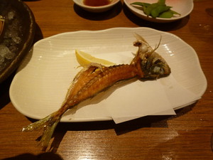 P1220438.jpg