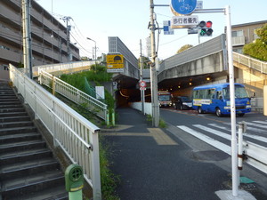 P1220594.jpg