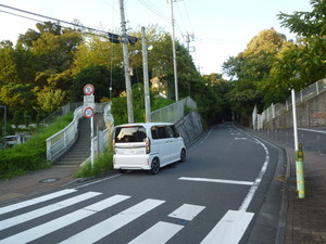 P1220595.jpg
