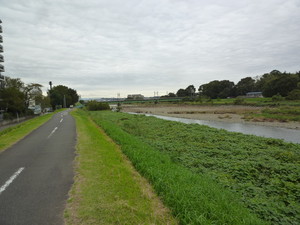 P1230444.jpg