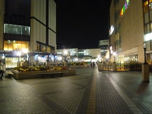 P1230894.jpg
