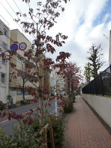 P1240456.jpg