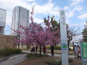 S0012001.jpg