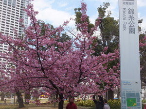 S0022002.jpg