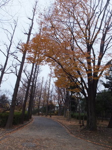 S0042473.jpg