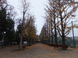 S0062475.jpg