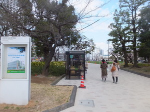 S0082012.jpg