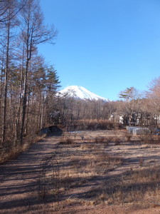 S0101010.jpg